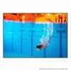 The Diver Photographic Canvas Print With Floating Frame