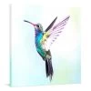 Hummingbird Canvas Print