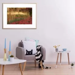 Red Acrylic Print With Frame 6 Red Acrylic Print With Frame -Home Decoration Store 158594 RED L1 20NAT 20RM 52f3e813 bf93 422a bb3a 644bac03f09a