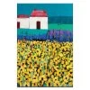 Sunflower Field Canvas Print