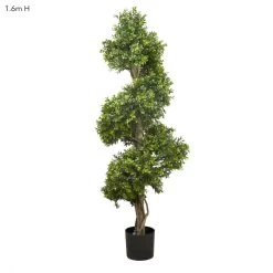 Boxwood Spiral Tree 1.5m