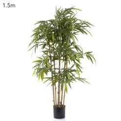 New Bamboo Tree 1.5m