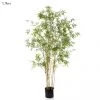 Oriental Bamboo Tree 1.9m