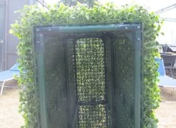 Yellow Box Wood Portable Artificial Outdoor Hedge -Home Decoration Store Internal 20View 20Hedge d937898e 73b8 4175 b9e0 6093b1a393e5