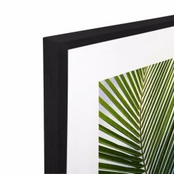 Cocos Acrylic Print With Frame -Home Decoration Store LCC 682 COCOS BLK 203D