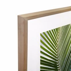 Cocos Acrylic Print With Frame -Home Decoration Store LCC 682 COCOS NAT 203D
