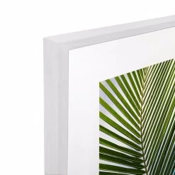 Cocos Acrylic Print With Frame -Home Decoration Store LCC 682 COCOS WHT 203D