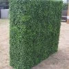 Mixed Box Wood Portable Artificial Outdoor Hedge