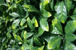 Laurel Leaf Artificial Outdoor Panel -Home Decoration Store Laurel 201