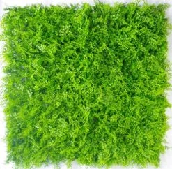 Mediterranean Fern Vertical Outdoor Garden