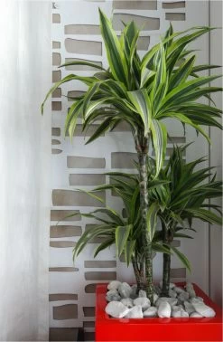 Stone Wall Panel/Screen -Home Decoration Store Stone Outdoor 20Setting 202