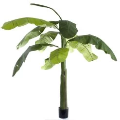 Banana Tree 1.5m 5 Banana Tree 1.5m -Home Decoration Store TCB01