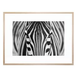 Zebra Acrylic Print With Frame -Home Decoration Store XHD 688 ZEPRA L1 20NAT
