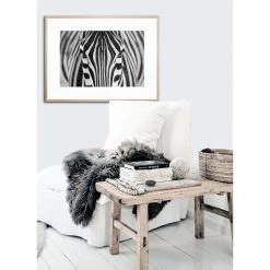 Zebra Acrylic Print With Frame -Home Decoration Store XHD 688 ZEPRA L1 20NAT 20RM