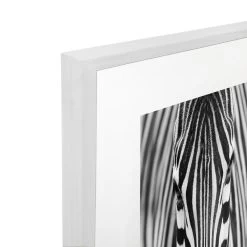 Zebra Acrylic Print With Frame -Home Decoration Store XHD 688 ZEPRA WHT 203D