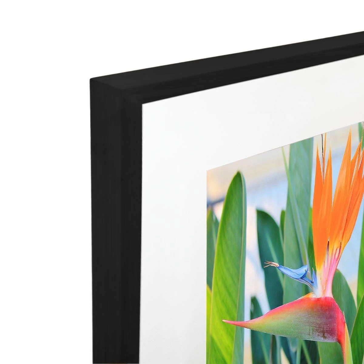 Paradiso Acrylic Print With Frame 3 Paradiso Acrylic Print With Frame - Image 3