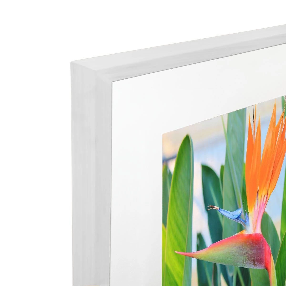 Paradiso Acrylic Print With Frame 5 Paradiso Acrylic Print With Frame - Image 5