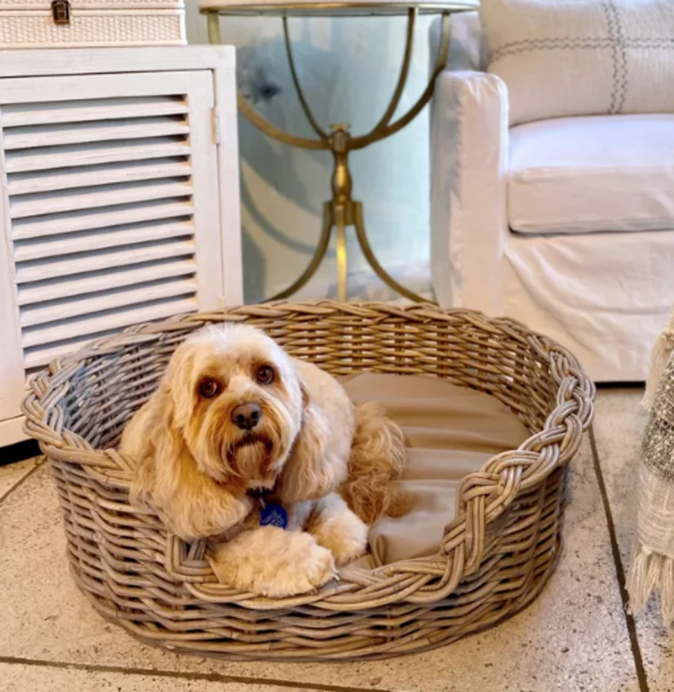 Grove Large Dog Basket 2 Grove Large Dog Basket - Image 2