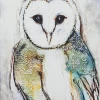 Antique Owl II Limited Edition Framed Print By Alissa Wright