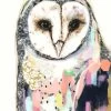 Prism Owl II Limited Edition Framed Print By Alissa Wright