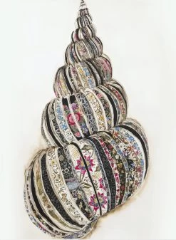 Coquille I Limited Edition Framed Print By Alissa Wright -Home Decoration Store shopify 0c3d28ce334574f21c0b2c1deca62039 coquille i limited edition framed print by alissa wright 9fd960c8 759e 46c3 a0f3 b67406404150