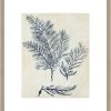 Indigo Blue Seaweed III Framed Print