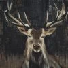 Highland Buck Wall Hanging