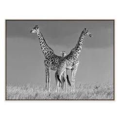 Between The Two Photographic Canvas Print With Floating Frame -Home Decoration Store shopify 1270309 JTREB BETWEEN THE TWO L1 NAT