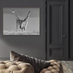 Between The Two Photographic Canvas Print With Floating Frame -Home Decoration Store shopify 1270309 JTREB BETWEEN THE TWO L1 NAT RM