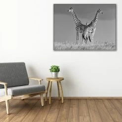 Between The Two Photographic Canvas Print With Floating Frame -Home Decoration Store shopify 1270309 JTREB BETWEEN THE TWO L1 WHT RM