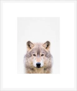 Wolf Framed Print