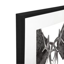 Eye To Eye Acrylic Print -Home Decoration Store shopify 17edb288ec59d0e552f03f409380a3cf eye to eye acrylic print