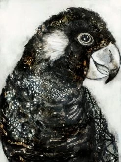 Desert Parrot I Limited Edition Framed Print By Alissa Wright