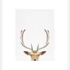 Deer Framed Print