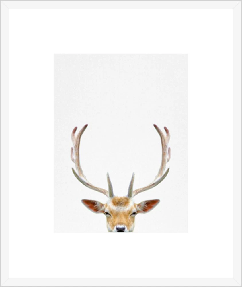 Deer Framed Print 1 Deer Framed Print