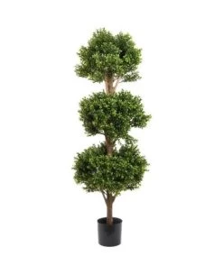 Boxwood Triple Ball Tree 1.2M