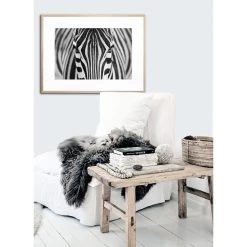 Zebra Acrylic Print With Frame -Home Decoration Store shopify 2b0f7b11511c32da38a93ed5b11b1122 zebra acrylic print with frame