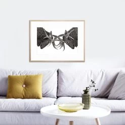 Eye To Eye Acrylic Print -Home Decoration Store shopify 2d328ac1cc0da01314d8282eb707a305 eye to eye acrylic print