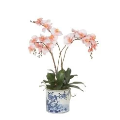 Lan Orchid In Pot Coral -Home Decoration Store shopify 2df30a221e6d51b67901a5442c1e3bf2 lan orchid in pot coral c41c4d5f 7ddd 4f48 b806 8ea542bc52e5
