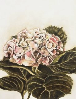 Summer Garden I Limited Edition Framed Print By Alissa Wright