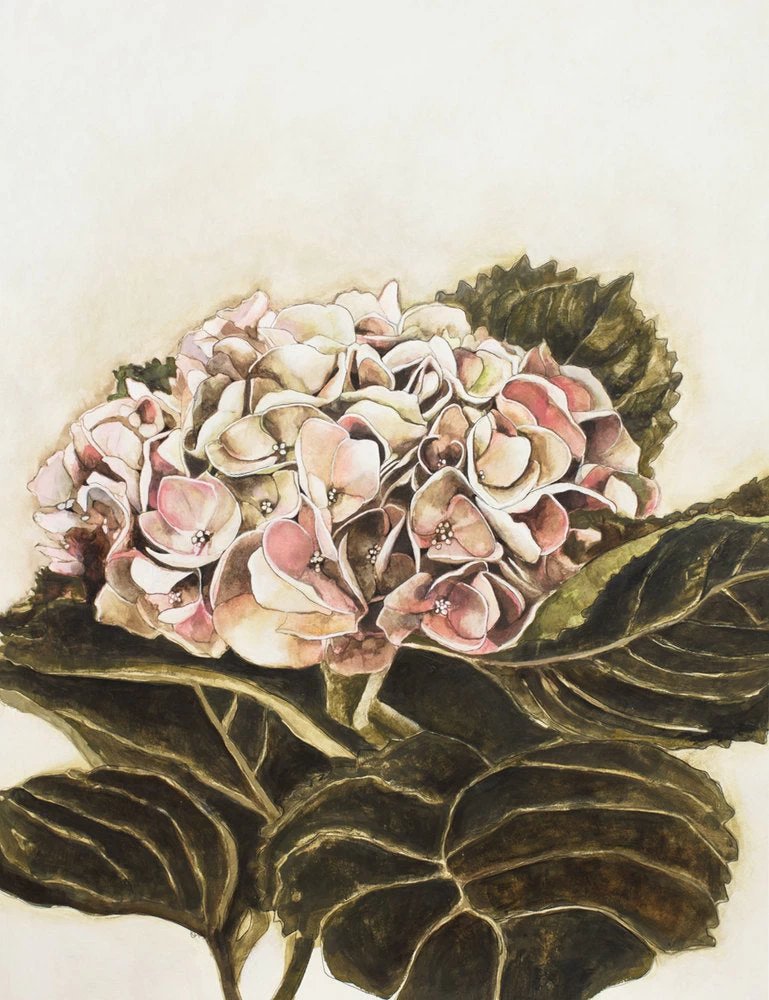 Summer Garden I Limited Edition Framed Print By Alissa Wright 1 Summer Garden I Limited Edition Framed Print By Alissa Wright