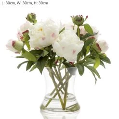 Loletta Peony In Glass Vase White