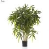 New Bamboo Tree 1m