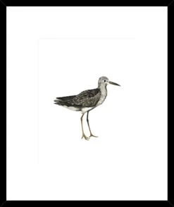 Sea Bird III Framed Print -Home Decoration Store shopify 3be5025277340b8400651ceb53098390 sea bird iii framed print