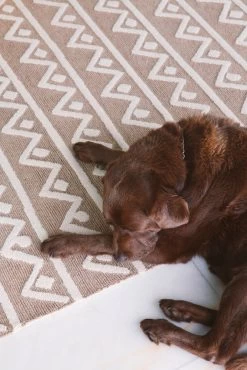 Hamstead Rug -Home Decoration Store shopify 3cbc92ea5ba65dd35308509442d4ce1f hamstead rug