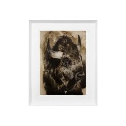 Bison Victor Limited Edition Framed Print By Alissa Wright -Home Decoration Store shopify 3fc8b132bd8a16e2855c1c7d2d2511f0 bison victor limited edition framed print by alissa wright