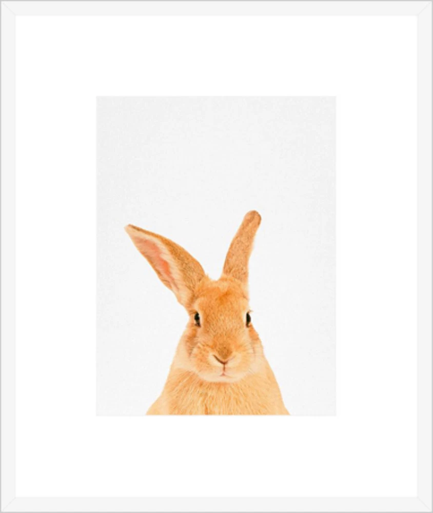 Rabbit Framed Print 1 Rabbit Framed Print