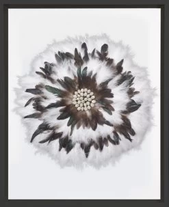 Macadamia Feathers White In Black Frame