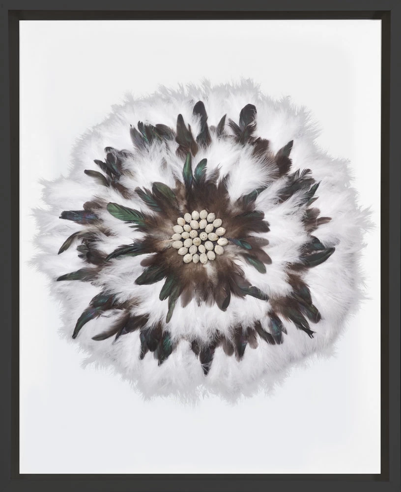 Macadamia Feathers White In Black Frame 1 Macadamia Feathers White In Black Frame