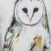 Antique Owl I Limited Edition Framed Print By Alissa Wright